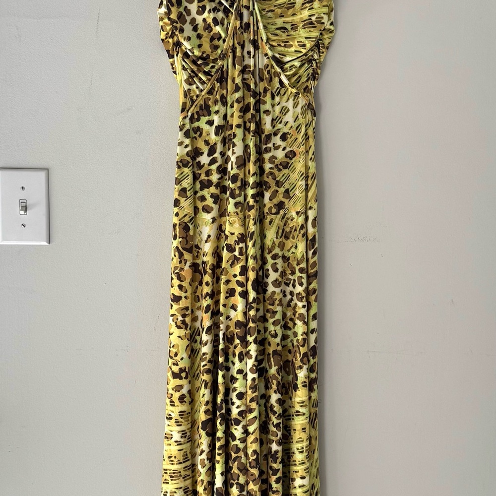 Leopard Print Maxi Dress